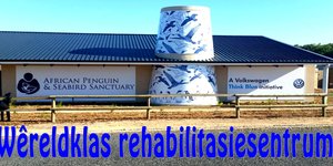 WÃªreldklas Rehabilitasiesentrum